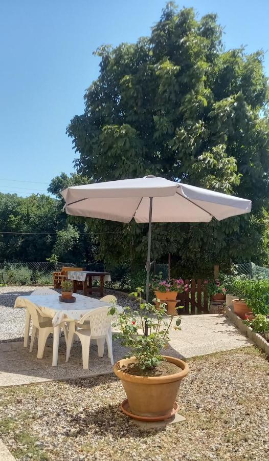 Appartamento Bellavista Castellina Marittima Exterior foto